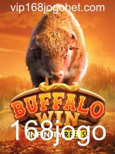 BuffaloWin: Uma Nova Dimensão no Mundo dos Jogos